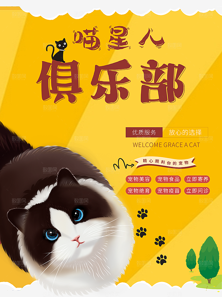 宠物商店海报寄养兽医狗猫粮食柯基美容