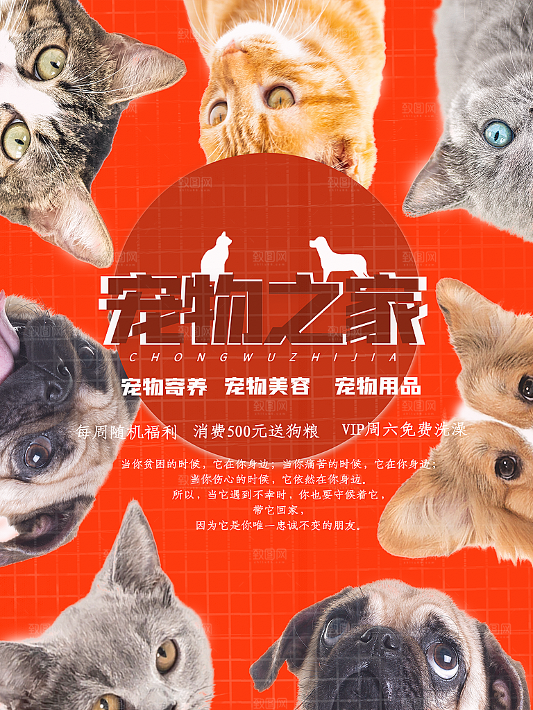 宠物商店海报寄养兽医狗猫粮食柯基美容