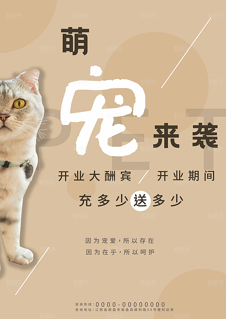 宠物商店海报寄养兽医狗猫粮食柯基