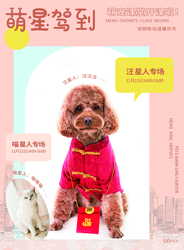 宠物商店海报寄养兽医狗猫粮食柯基美容