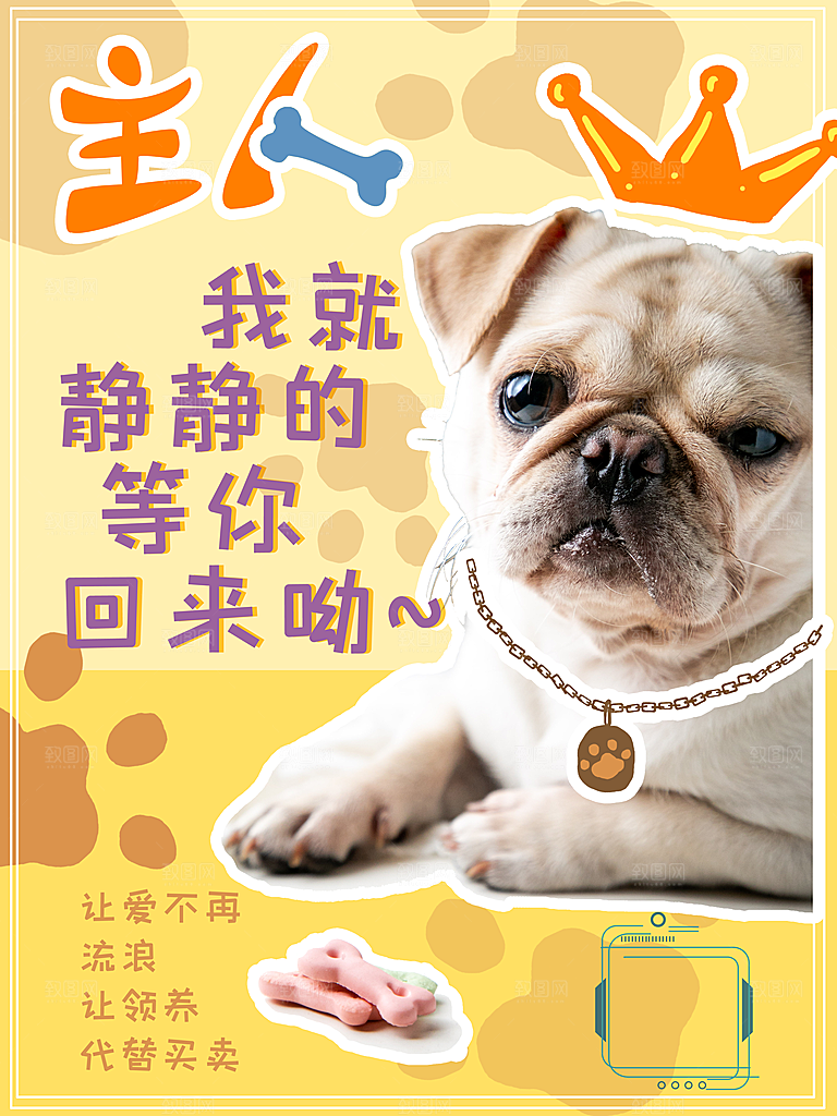 宠物商店海报寄养兽医狗猫粮食柯基美容