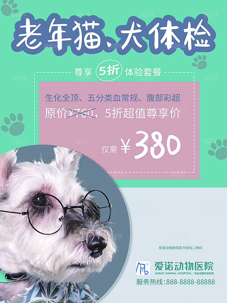 宠物商店海报寄养兽医狗猫粮食柯基