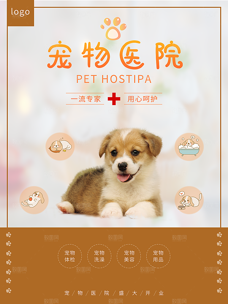 宠物商店海报寄养兽医狗猫粮食柯基美容