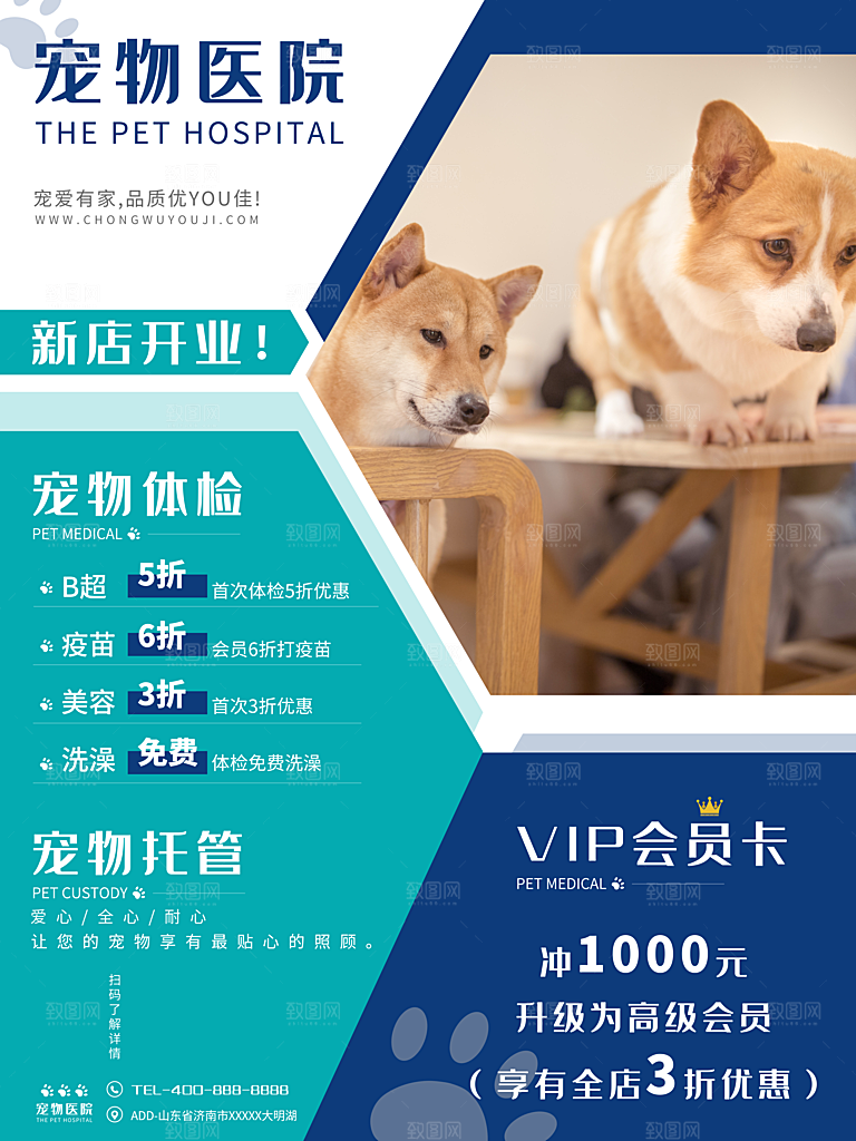 宠物商店海报寄养兽医狗猫粮食柯基美容