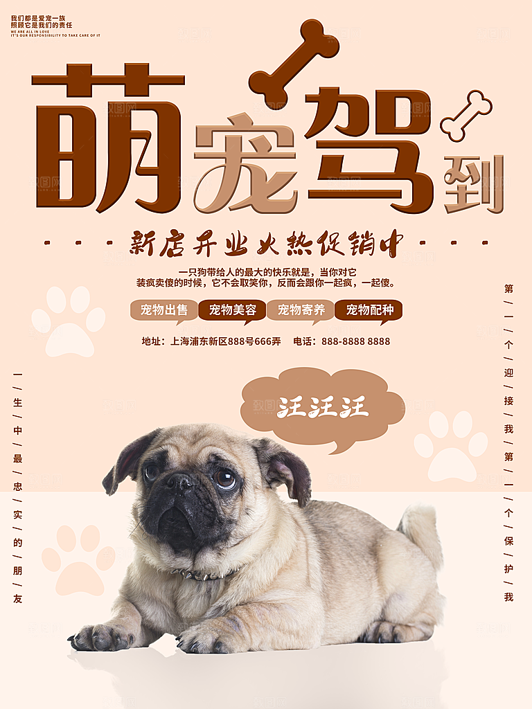 宠物商店海报寄养兽医狗猫粮食柯基美容