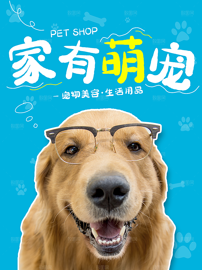 宠物商店海报寄养兽医狗猫粮食柯基