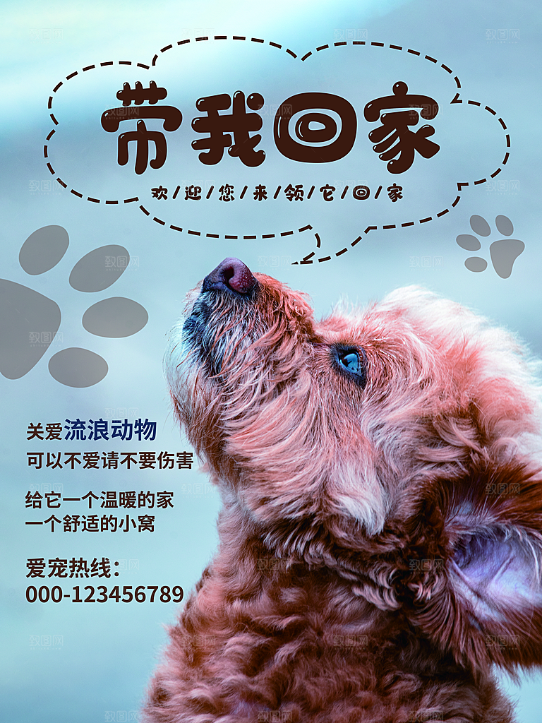 宠物商店海报寄养兽医狗猫粮食柯基