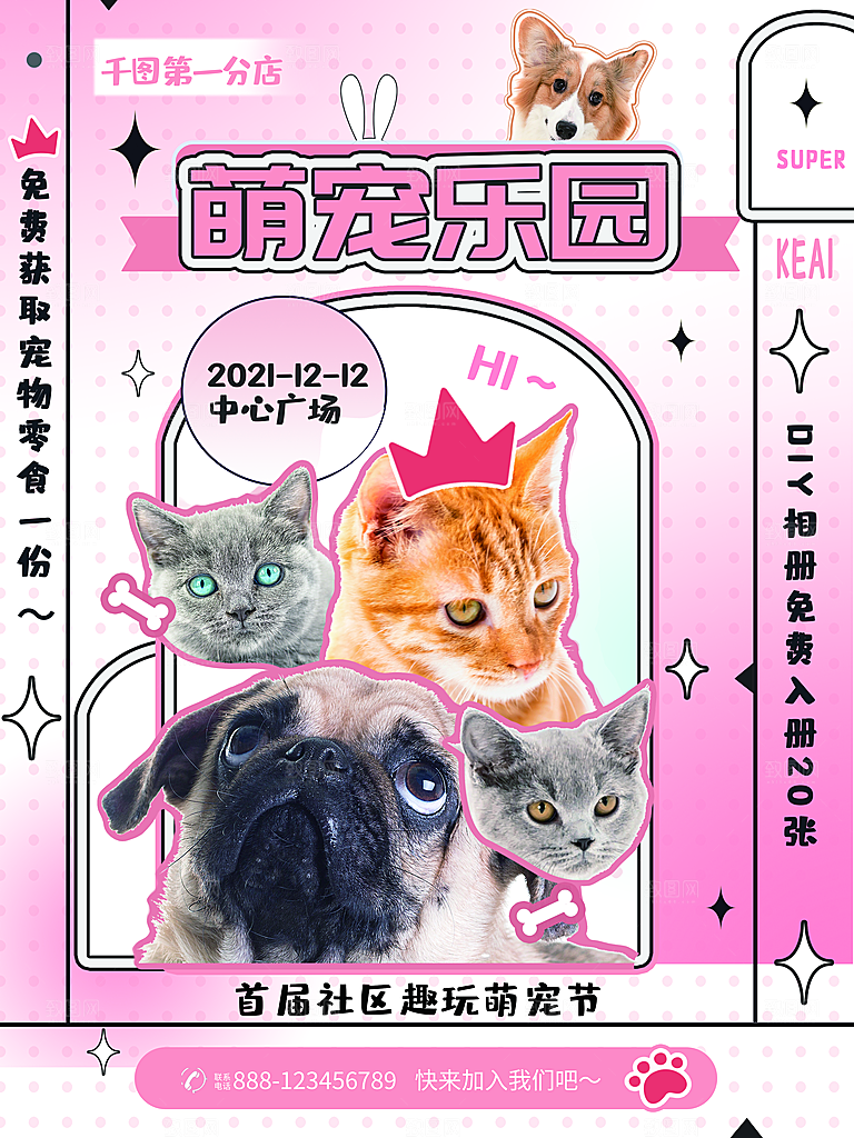 宠物商店海报寄养兽医狗猫粮食柯基美容