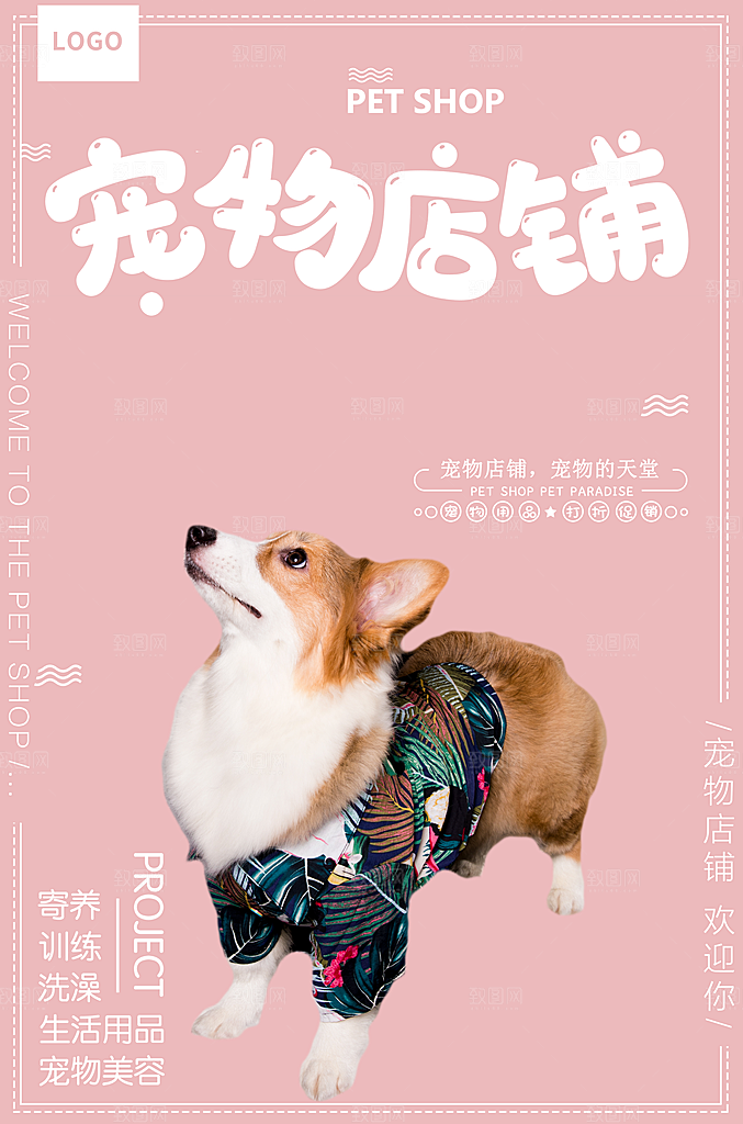 宠物商店海报寄养兽医狗猫粮食柯基美容