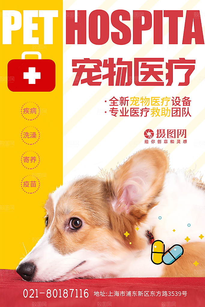 宠物商店海报寄养兽医狗猫粮食柯基