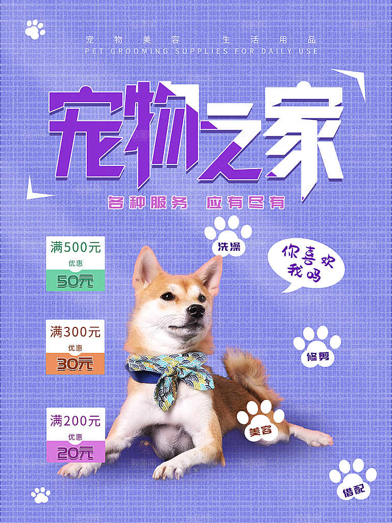 宠物商店海报寄养兽医狗猫粮食柯基金毛