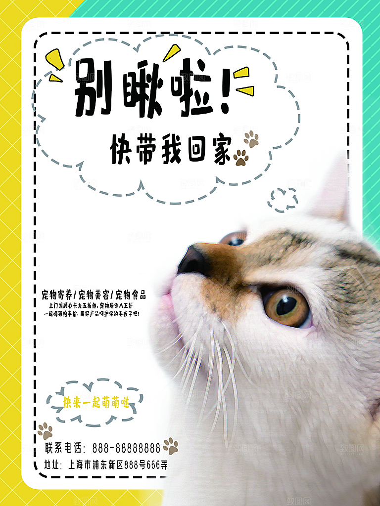 宠物商店海报寄养兽医狗猫粮食柯基金毛美容