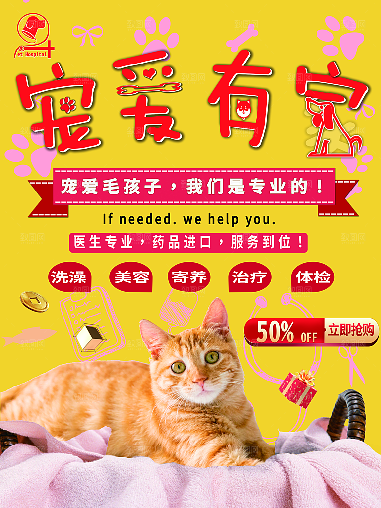 宠物商店海报寄养兽医狗猫粮食柯基金毛美容