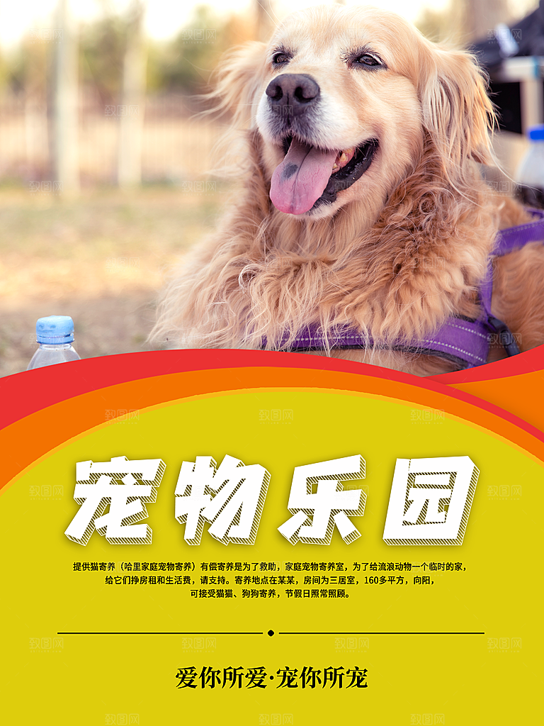 宠物商店海报寄养兽医狗猫粮食柯基金毛