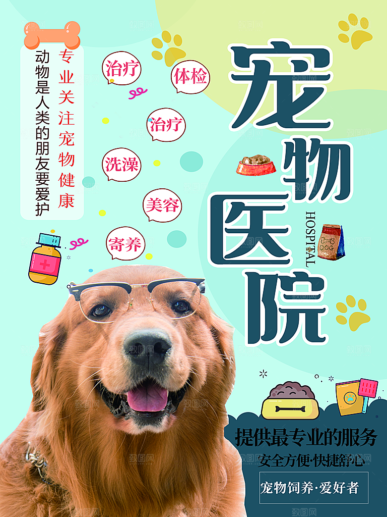 宠物商店海报寄养兽医狗猫粮食柯基金毛