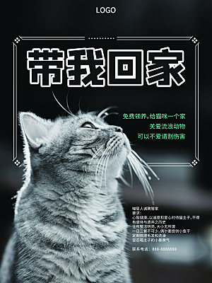 宠物商店海报寄养兽医狗猫粮食柯基金毛
