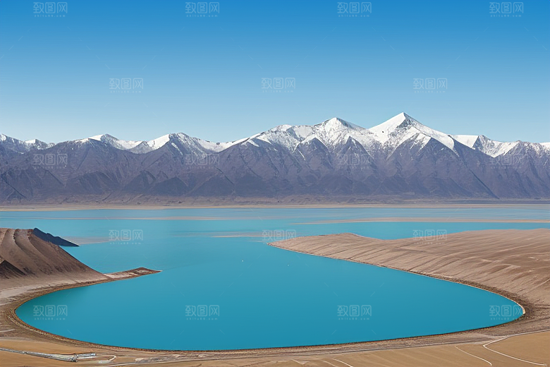 大美青海湖的湖畔花海