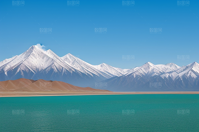 大美青海湖的湖畔花海