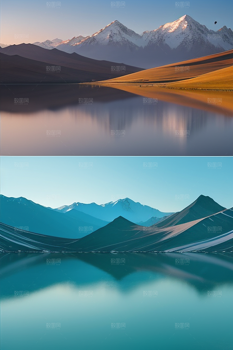 大美青海湖的湖畔花海