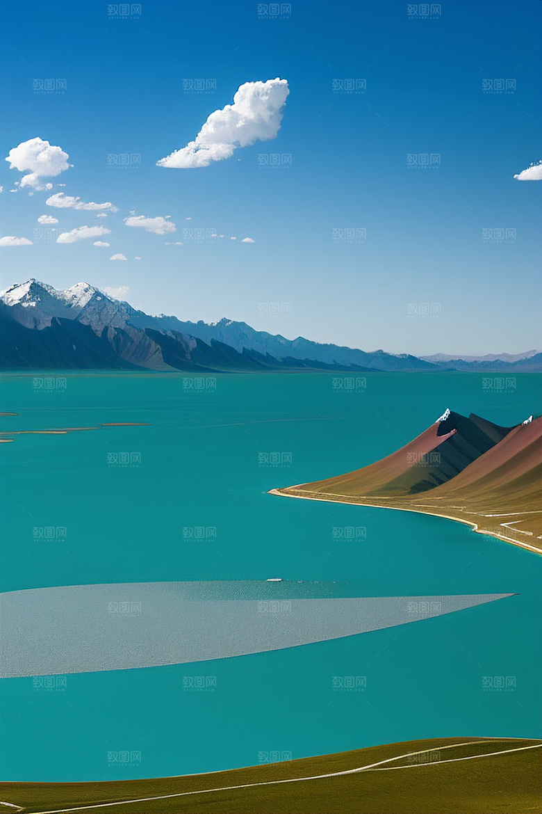 大美青海湖的湖畔花海