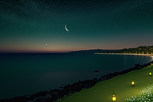 浪漫花朵8K高清海边美景