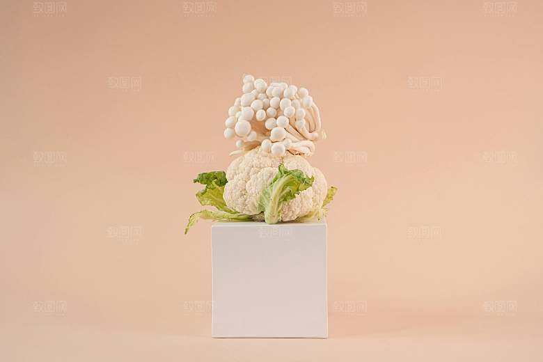白色菜花摄影素材