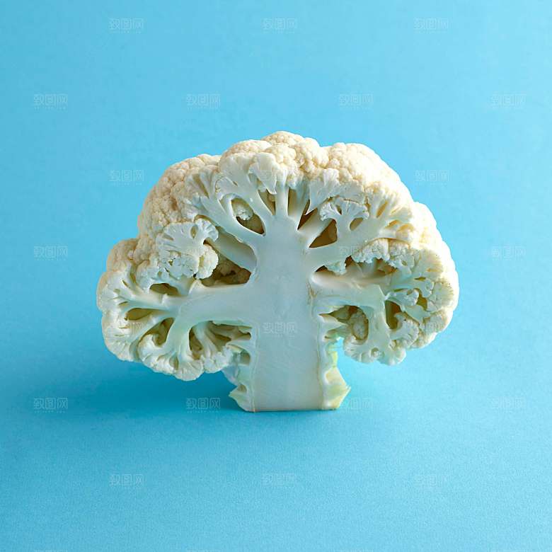 白色菜花摄影素材