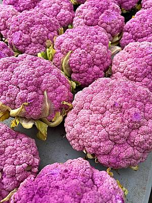 紫色菜花花椰菜摄影素材