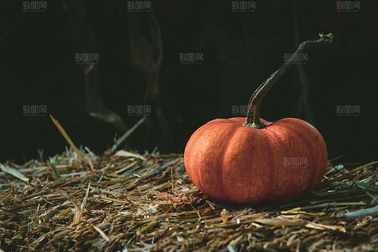 南瓜特写摄影素材元素
