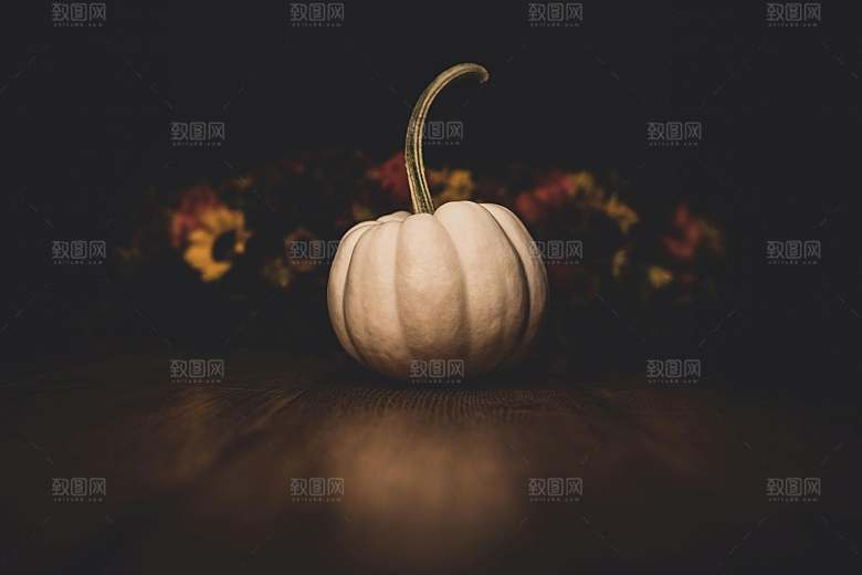 南瓜特写摄影素材元素
