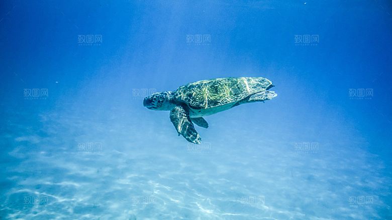 蓝色水天空海洋摄影