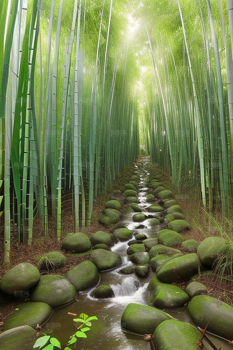雨后的竹笋丛的美景