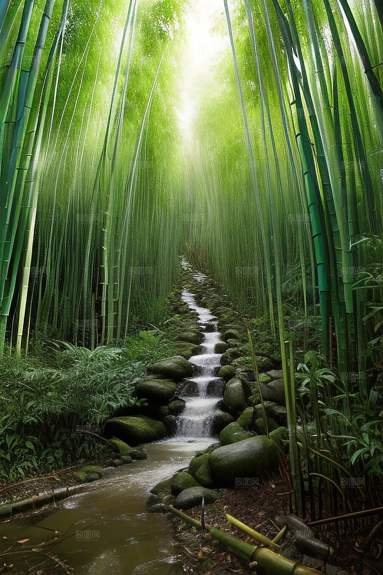 竹笋的嫩滑的美景