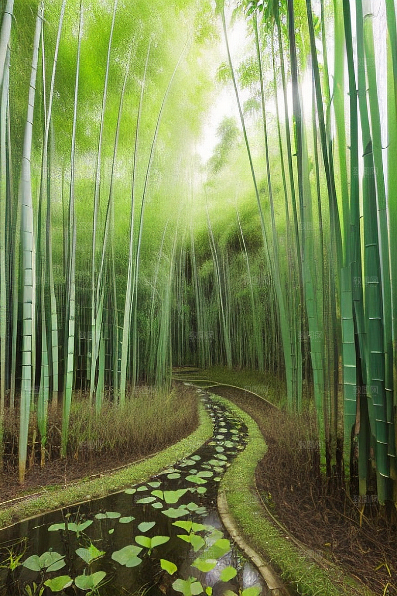 竹笋的清甜的美景