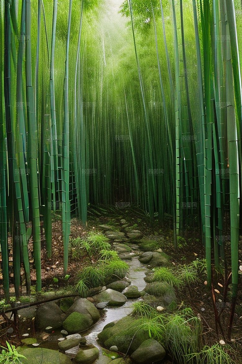 竹笋的清甜的美景
