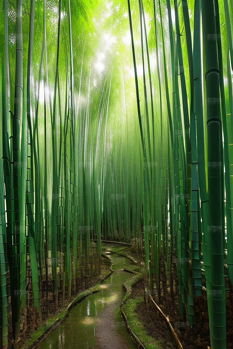 竹笋的丰满的美景