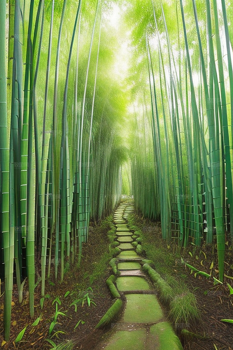 竹笋的丰满的美景