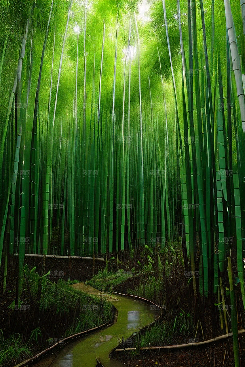 竹笋的爽脆的美景