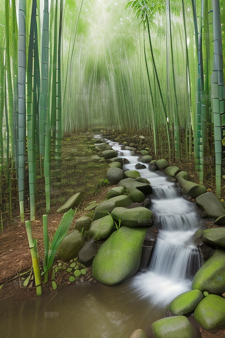雨后的竹海的美景