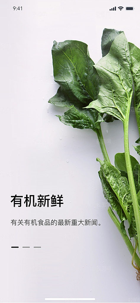 手机APP启动页闪屏模板