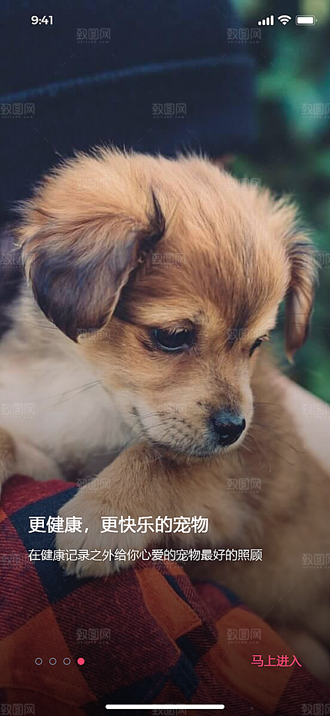 手机APP启动页闪屏模板
