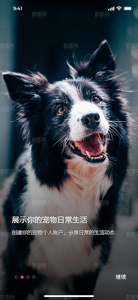 手机APP启动页闪屏模板