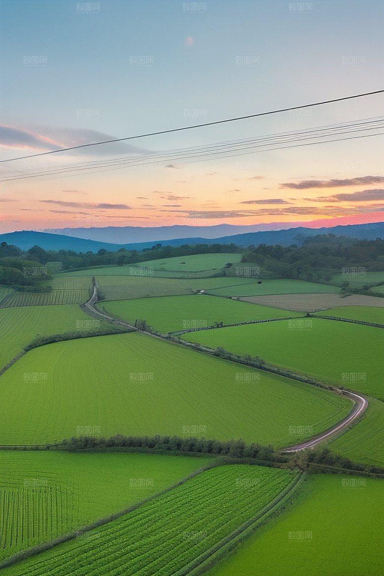 电线杆与乡村生活美丽的平凡之景