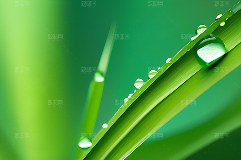 水珠绿叶背景的清澈与晶莹