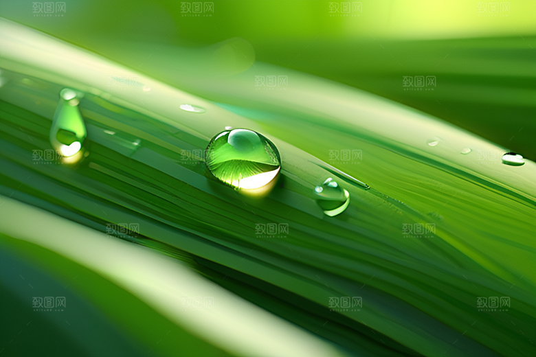 护眼数字渲染的水滴在绿色背景中绽放光芒