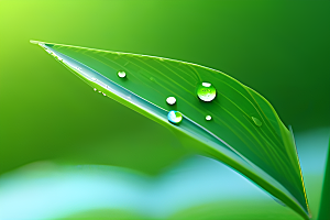 护眼数字渲染的水滴在绿色背景中绽放光芒