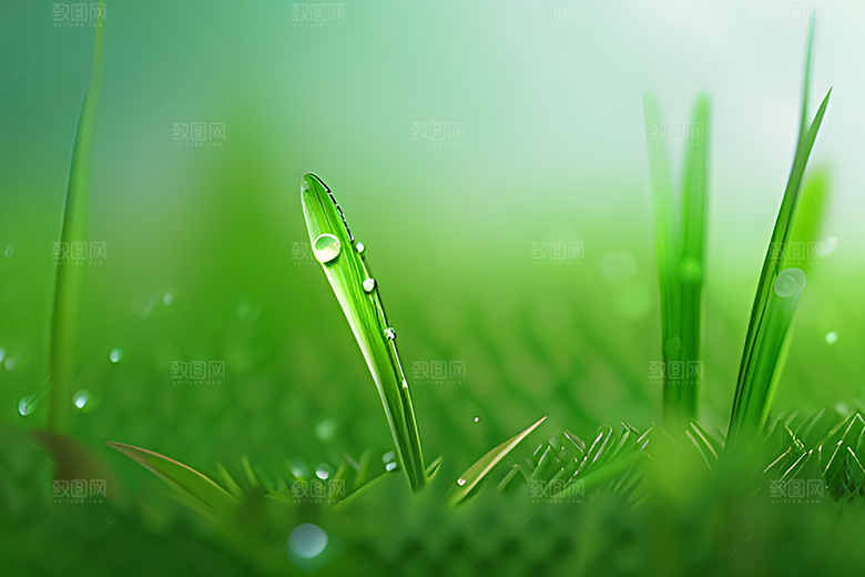 绿色背景下水滴绽放出多彩的光彩