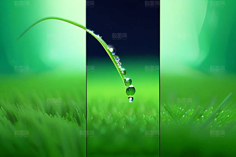 青翠绿色背景下水滴如珠般散落