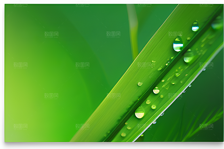 青翠绿色背景下水滴如珠般散落