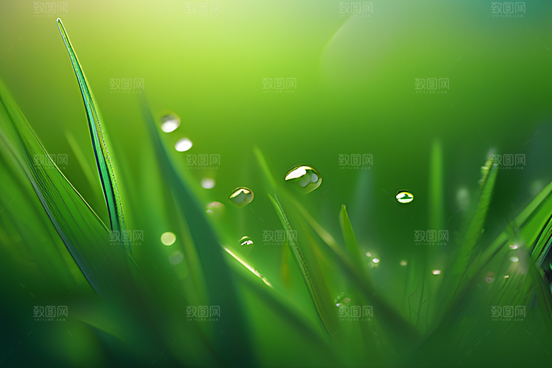真实感十足的水滴在绿色背景下绽放